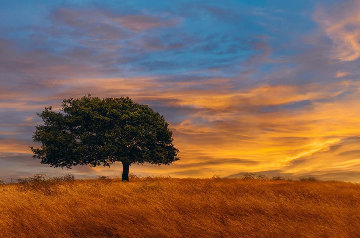 Blazing Skies Panorama - Peter Lik Blazing Skies Panorama - Peter Lik
