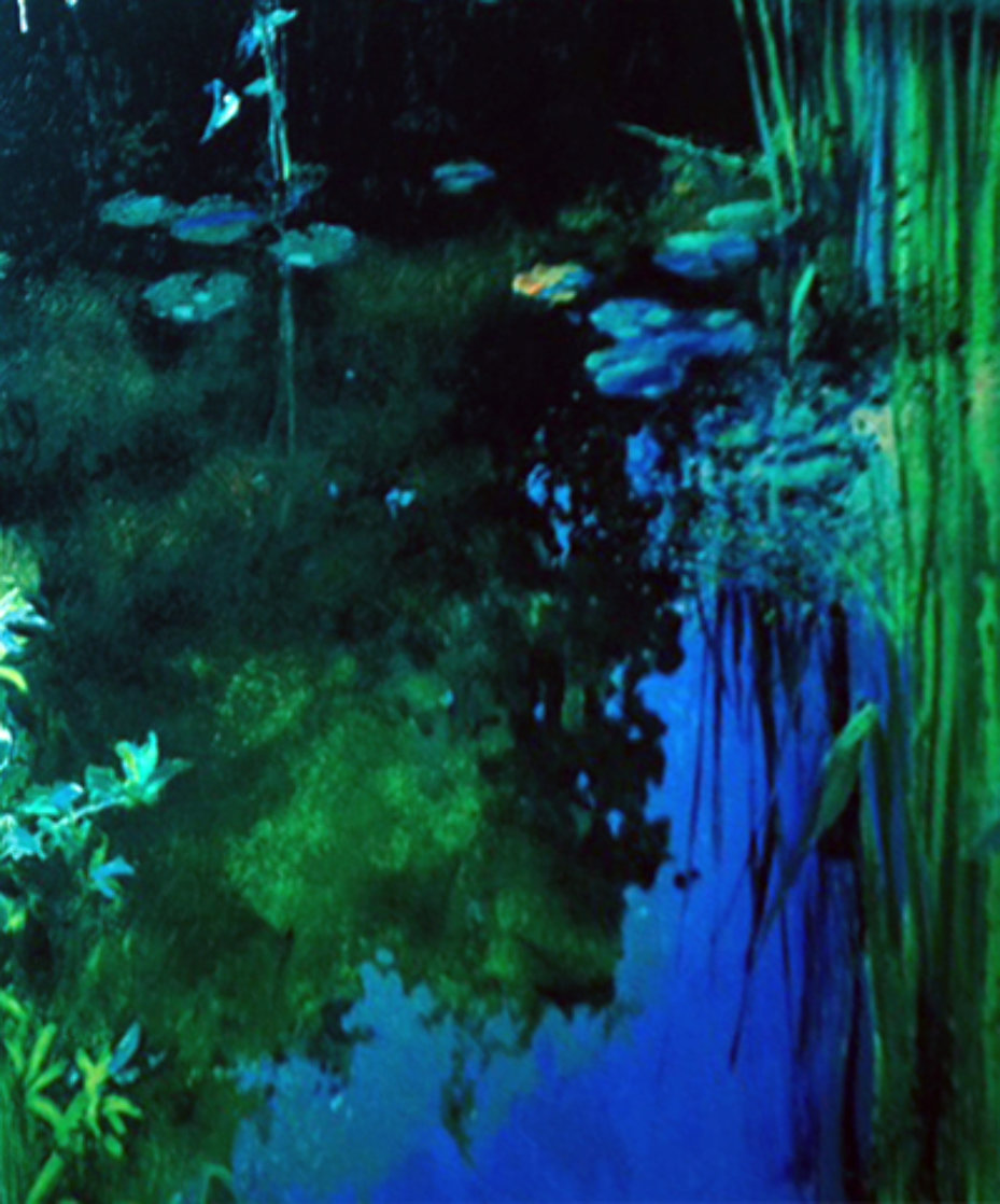 Belvedere Nenufares 1990 Limited Edition Print by J. Torrents Llado Belvedere Nenufares 1990 Limited Edition Print by J. Torrents Llado