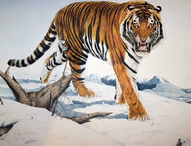 Siberian Tiger 1984 Limited Edition Print by Glen Loates