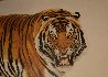 Siberian Tiger 1984 Limited Edition Print by Glen Loates - 2
