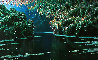 Emerald Pond 43x80 - Huge Mural Size Original Painting by Taras Loboda - 2