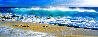Momentum 1M - Kaena Point State Park, Hawaii Panorama by Rodney Lough, Jr. - 0