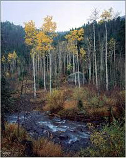 Aspen Creek Panorama - Rodney Lough, Jr. 