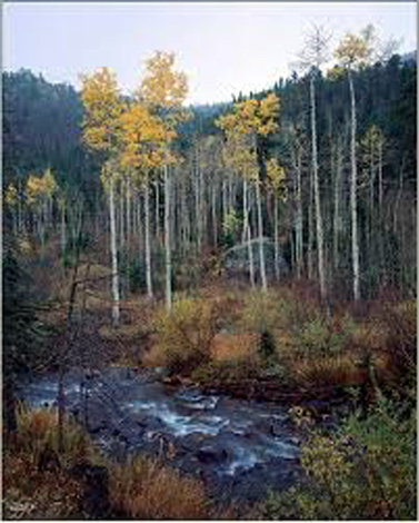 Aspen Creek, Colorado Panorama - Rodney Lough, Jr.