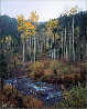 Aspen Creek, Colorado Panorama by Rodney Lough, Jr. - 0