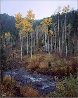 Aspen Creek, Colorado Panorama by Rodney Lough, Jr. - 1