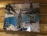 Beauty Knows No Border - Snowmass, Aspen, Colorado Panorama by Rodney Lough, Jr. - 1