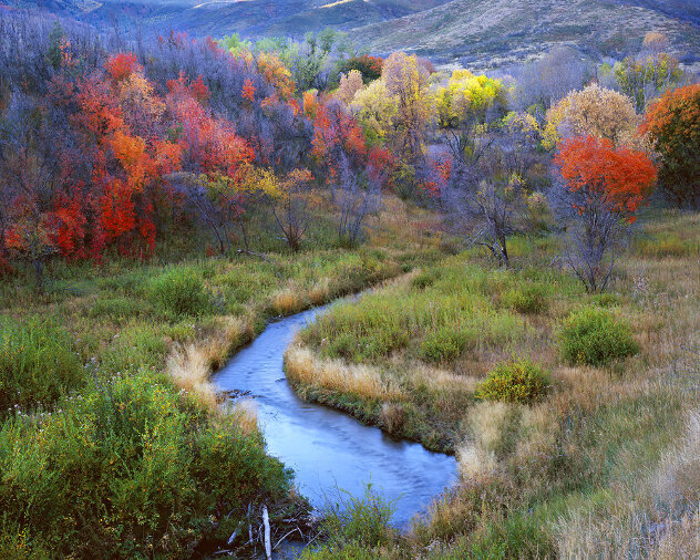 Sweet Autumn Evening - Koa Wood Frame Panorama by Rodney Lough, Jr.