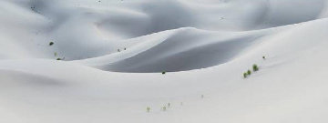 Silk Huge Panorama - Rodney Lough, Jr. Silk Huge Panorama - Rodney Lough, Jr.