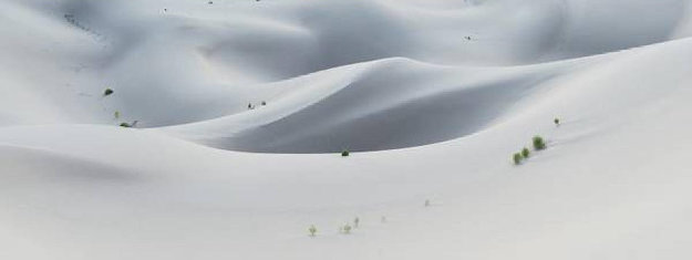 Silk by Rodney Lough, Jr. 