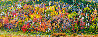 Fall Splendor 1M - Huge - Dixie National Forest, Utah Panorama by Rodney Lough, Jr. - 0