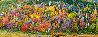 Fall Splendor 1M - Dixie National Forest, Utah Panorama by Rodney Lough, Jr. - 1