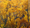 Yellow 2009 Panorama by Rodney Lough, Jr. - 0