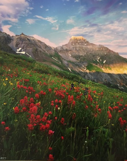 Yankee Boy in Red 2008 Panorama by Rodney Lough, Jr. Yankee Boy in Red 2008 Panorama by Rodney Lough, Jr.