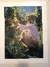 In the Vineyards Embellished Limited Edition Print by Aldo Luongo - 1