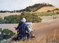 Hawk in Napa 38x49 Original Painting - Aldo Luongo