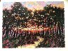 Forest At Dusk 1980 Limited Edition Print by Aldo Luongo - 1