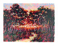 Forest  at Dusk 1980 Limited Edition Print - Aldo Luongo