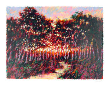 Forest  at Dusk 1980 Limited Edition Print - Aldo Luongo