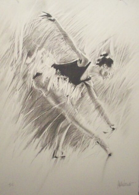 Ballerina HC Suite of 3 Lithographs Limited Edition Print by Aldo Luongo