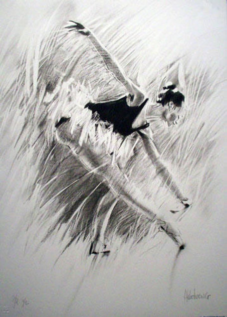 Ballerina Suite of 3 1989 Limited Edition Print by Aldo Luongo