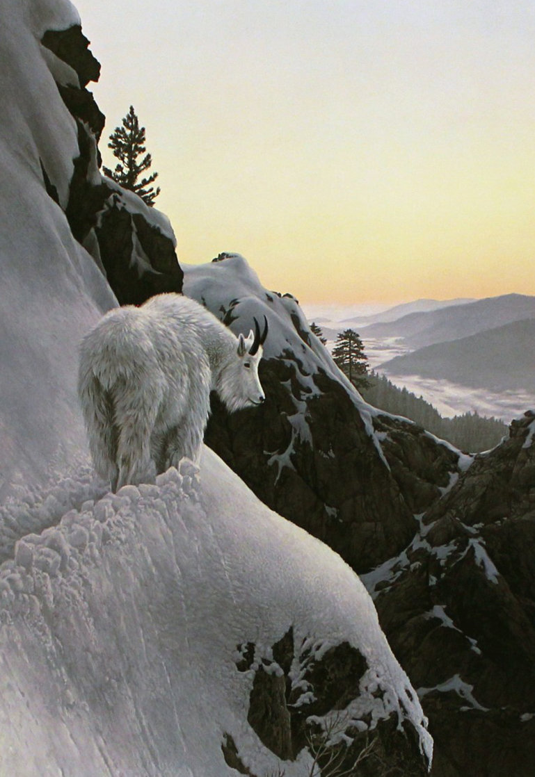 High Trail At Sunset 1986 By Stephen Lyman