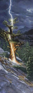 Thunderbolt 1995 - Huge Limited Edition Print - Stephen Lyman Thunderbolt 1995 - Huge Limited Edition Print - Stephen Lyman
