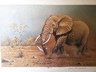 Score to Settle, Disturbed Jumbo, Reclining Cheetahs 1984, Set of 3 Prints Limited Edition Print by Rob MacIntosh - 2 Score to Settle, Disturbed Jumbo, Reclining Cheetahs 1984, Set of 3 Prints Limited Edition Print by Rob MacIntosh - 2