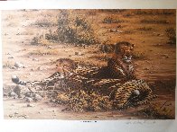 Score to Settle, Disturbed Jumbo, Reclining Cheetahs 1984, Set of 3 Prints Limited Edition Print by Rob MacIntosh - 3 Score to Settle, Disturbed Jumbo, Reclining Cheetahs 1984, Set of 3 Prints Limited Edition Print by Rob MacIntosh - 3