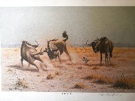 Score to Settle, Disturbed Jumbo, Reclining Cheetahs 1984, Set of 3 Prints Limited Edition Print by Rob MacIntosh - 0 Score to Settle, Disturbed Jumbo, Reclining Cheetahs 1984, Set of 3 Prints Limited Edition Print by Rob MacIntosh - 0