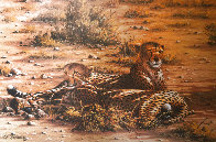 Score to Settle, Disturbed Jumbo, Reclining Cheetahs 1984, Set of 3 Prints Limited Edition Print by Rob MacIntosh - 1 Score to Settle, Disturbed Jumbo, Reclining Cheetahs 1984, Set of 3 Prints Limited Edition Print by Rob MacIntosh - 1