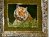 Nobel Bengal  Painting - 1998 20x24 Original Painting by Rob MacIntosh - 1