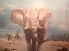 Elephant Territory 1988 30x35 Limited Edition Print by Rob MacIntosh - 7 Elephant Territory 1988 30x35 Limited Edition Print by Rob MacIntosh - 7