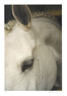Jerez 2006 Limited Edition Print - Christopher Makos Jerez 2006 Limited Edition Print - Christopher Makos