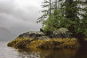 Guardian of Knight Inlet Panorama by Thomas Mangelsen - 0 Guardian of Knight Inlet Panorama by Thomas Mangelsen - 0