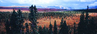 Season Passing (Denali)  AP 1.5M  Huge Panorama by Thomas Mangelsen - 0