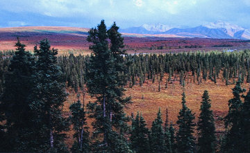 Season Passing AP (Jackson Wyoming) Huge Panorama - Thomas Mangelsen Season Passing AP (Jackson Wyoming) Huge Panorama - Thomas Mangelsen
