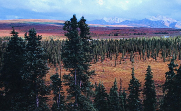 Season Passing AP (Jackson Wyoming) Huge Panorama by Thomas Mangelsen Season Passing AP (Jackson Wyoming) Huge Panorama by Thomas Mangelsen