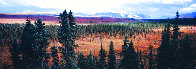 Season Passing (Denali)  AP 1.5M  Huge Panorama by Thomas Mangelsen - 2