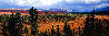 Season Passing AP (Jackson Wyoming) Huge Panorama by Thomas Mangelsen - 5 Season Passing AP (Jackson Wyoming) Huge Panorama by Thomas Mangelsen - 5