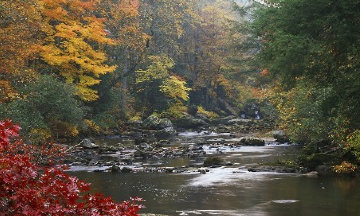 Whispers of Fall Panorama - Thomas Mangelsen Whispers of Fall Panorama - Thomas Mangelsen