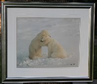 Bear Hug  Panorama by Thomas Mangelsen - 1
