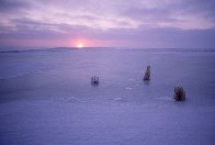 Arctic Nights  Panorama by Thomas Mangelsen - 0