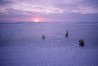 Arctic Nights Panorama by Thomas Mangelsen - 0