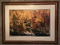 Fire of Autumn Panorama by Thomas Mangelsen - 2 Fire of Autumn Panorama by Thomas Mangelsen - 2