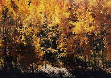 Fire of Autumn Panorama - Thomas Mangelsen Fire of Autumn Panorama - Thomas Mangelsen