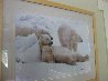 Bad Boys of the Arctic Panorama by Thomas Mangelsen - 3 Bad Boys of the Arctic Panorama by Thomas Mangelsen - 3