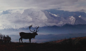 Caribou Country Panorama - Thomas Mangelsen Caribou Country Panorama - Thomas Mangelsen