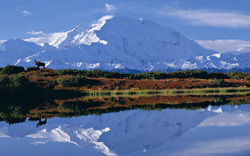 Reflections of Denali - Huge 2M Panorama - Thomas Mangelsen Reflections of Denali - Huge 2M Panorama - Thomas Mangelsen