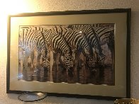 Dry Season - Zebras Panorama by Thomas Mangelsen - 1